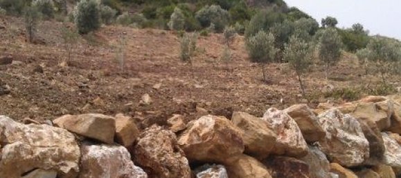 Земельный участок в Эстепона, Испания № 151373 2