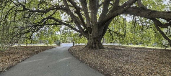 4 chambres Maison à Drouin, Australia No. 552 22
