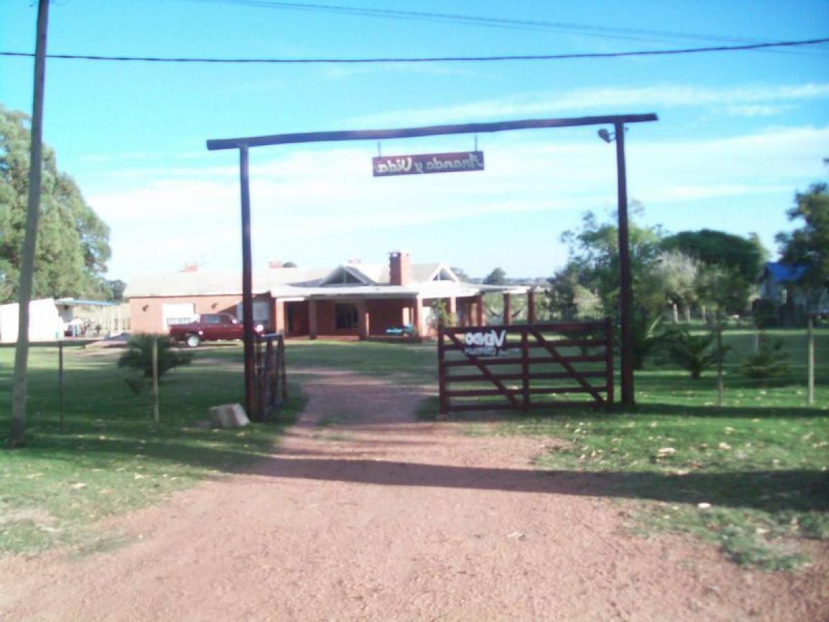  Farm in Maldonado, Uruguay No. 15496