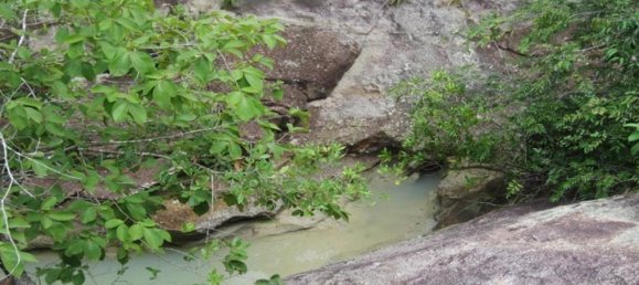  Land in Liberia, Costa Rica No. 1592 2