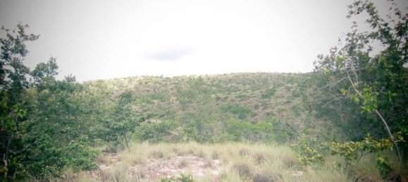  Land in Liberia, Costa Rica No. 1592 5