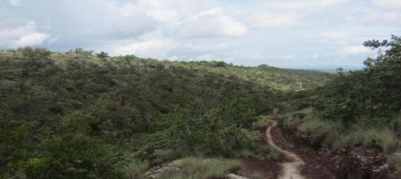  Land in Liberia, Costa Rica No. 1592 4