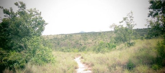  Land in Liberia, Costa Rica No. 1592 3