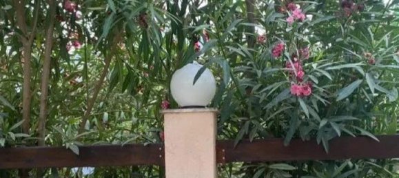 2 bedrooms Commercial property in Chalkidiki, Greece No. 1962 17