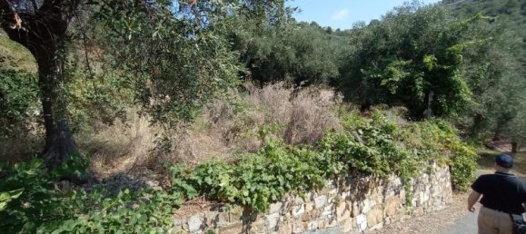 2غرفة منزل في Imperia, Italy رقم 234467 3