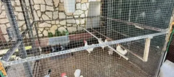 10 bedrooms House in Cordoba, Spain No. 142936 25