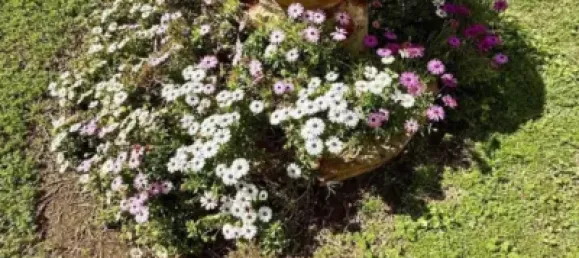 10 bedrooms House in Cordoba, Spain No. 142936 22