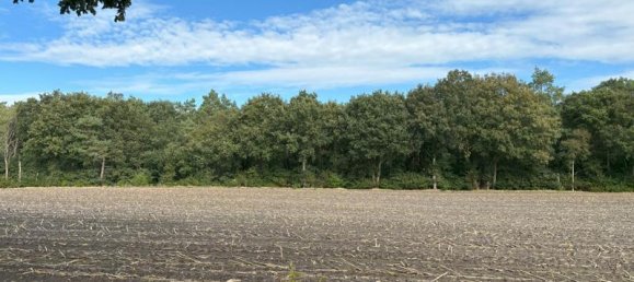 6غرفة منزل في Oldenburg, Germany رقم 148965 32