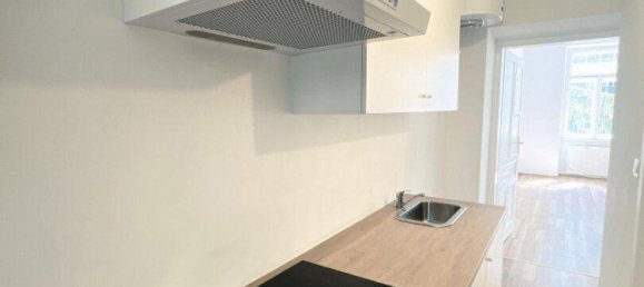 Studio in Wien, Austria, Nr. 245399 4