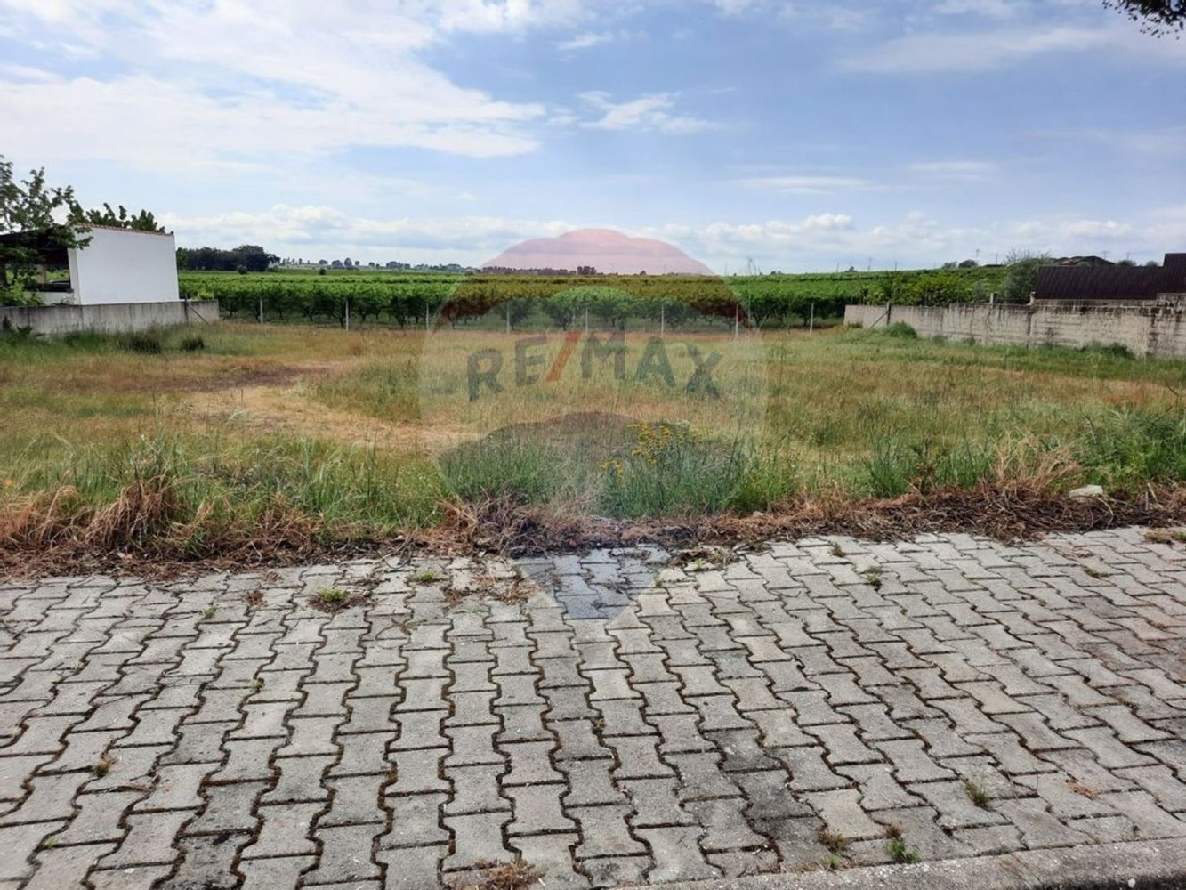 403m² Land in Lardosa, Portugal No. 72918