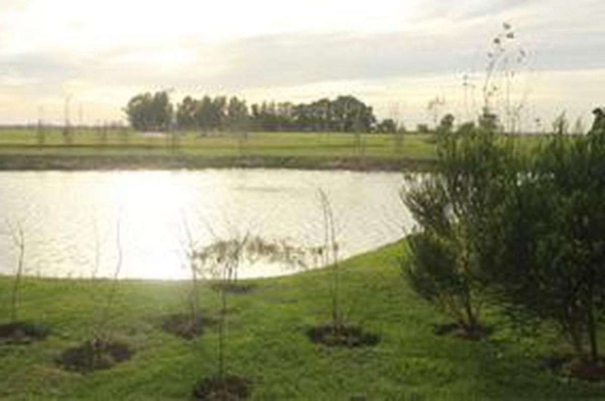  Land in Esteban Echeverria, Argentina No. 47088