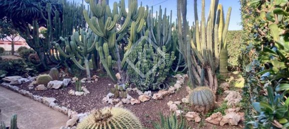 4 غرف نوم منزل في Menorca, Spain رقم 87943 23