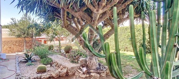 4 غرف نوم منزل في Menorca, Spain رقم 87943 6