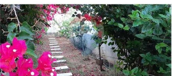 4 bedrooms Villa in Limassol, Cyprus No. 13282 14