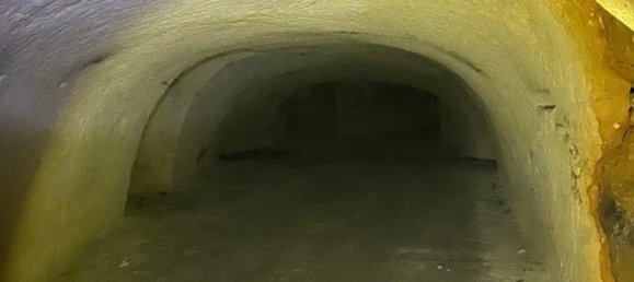 1 Schlafzimmer Haus in Vendome, France, Nr. 58819 2