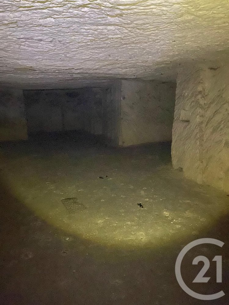 1 Schlafzimmer Haus in Vendome, France, Nr. 58819