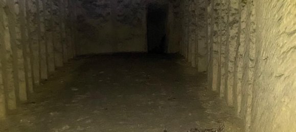 1 Schlafzimmer Haus in Vendome, France, Nr. 58819 4