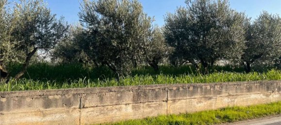 Дом с 18 спальнями в Мондрагоне, Италия № 377919 27