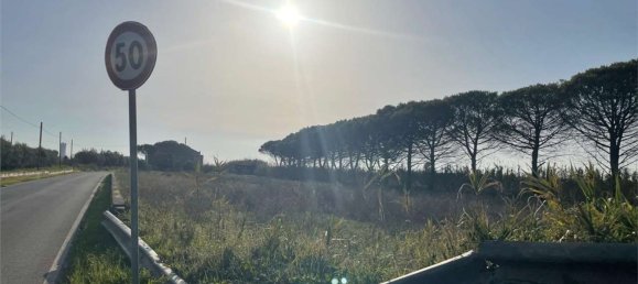 Дом с 18 спальнями в Мондрагоне, Италия № 377919 40