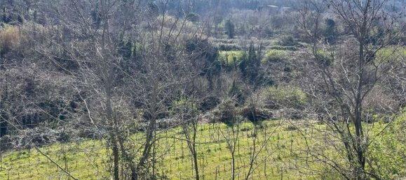 Дом с 18 спальнями в Мондрагоне, Италия № 377919 5