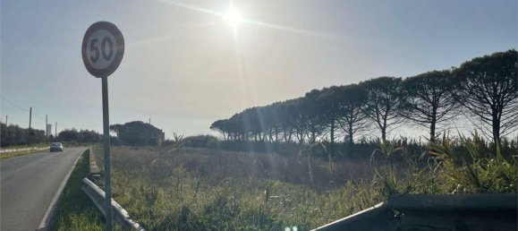 Дом с 18 спальнями в Мондрагоне, Италия № 377919 11