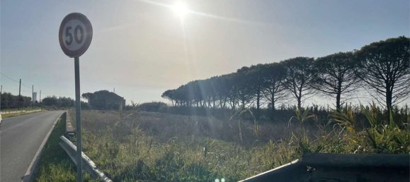 Дом с 18 спальнями в Мондрагоне, Италия № 377919 29