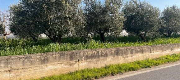 Дом с 18 спальнями в Мондрагоне, Италия № 377919 43