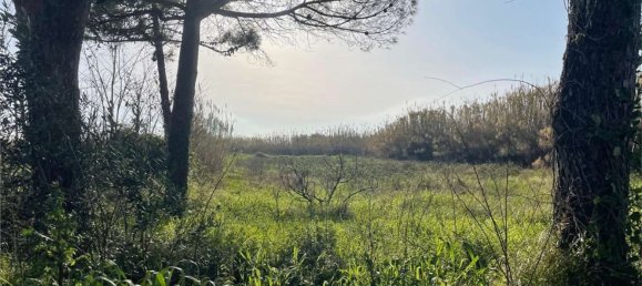 Дом с 18 спальнями в Мондрагоне, Италия № 377919 23