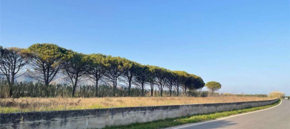 Дом с 18 спальнями в Мондрагоне, Италия № 377919 33