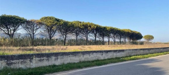 Дом с 18 спальнями в Мондрагоне, Италия № 377919 47