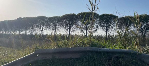 Дом с 18 спальнями в Мондрагоне, Италия № 377919 36