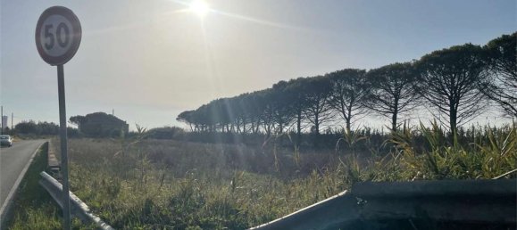 Дом с 18 спальнями в Мондрагоне, Италия № 377919 9