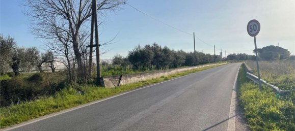 Дом с 18 спальнями в Мондрагоне, Италия № 377919 14