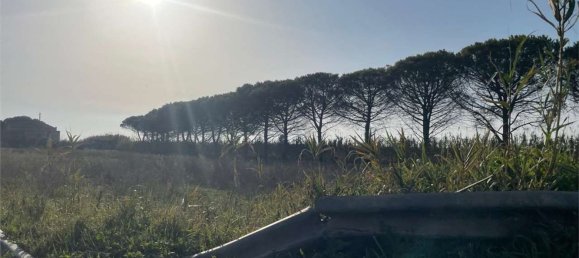 Дом с 18 спальнями в Мондрагоне, Италия № 377919 16