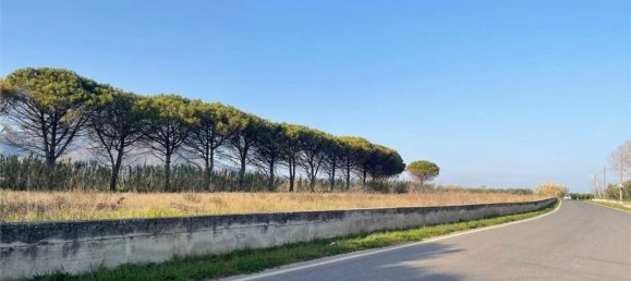 Дом с 18 спальнями в Мондрагоне, Италия № 377919 44