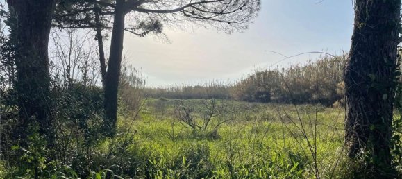 Дом с 18 спальнями в Мондрагоне, Италия № 377919 26