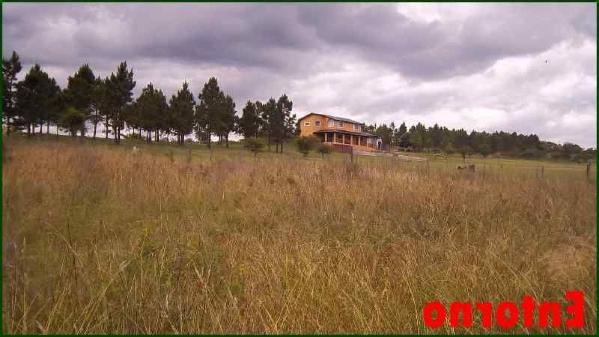 Grundstück in Cordoba, Argentina, Nr. 46475