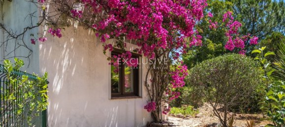 3 غرف نوم فيلا في Mexilhoeira Grande, Portugal رقم 134922 26