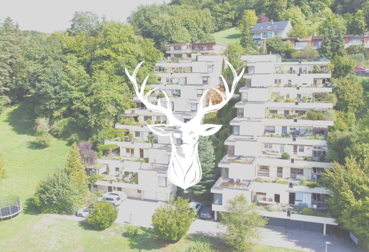 Apartamento de 5 habitaciónes en Waldshut, Germany No. 112119