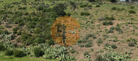 3 Schlafzimmer Haus in Castro Marim, Portugal, Nr. 144938 26