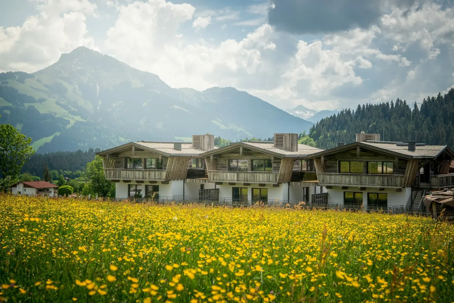 3 bedrooms House in Going am Wilden Kaiser, Austria No. 89765