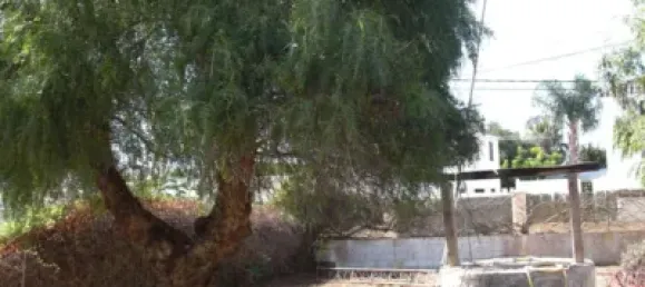 Casa de 3 dormitorios en Cádiz, Spain No. 170617 49