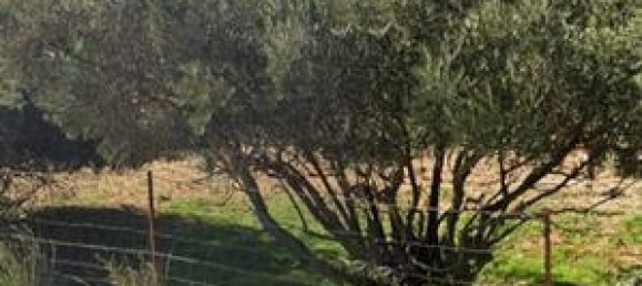  قطعة أرض في Cadiz, Spain 500متر مربع رقم 162002 3