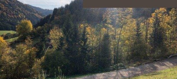 Земельный участок в Лойх, Австрия № 252247 5