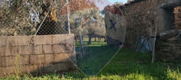 1 غرف نوم منزل في Portalegre, Portugal رقم 28303 8