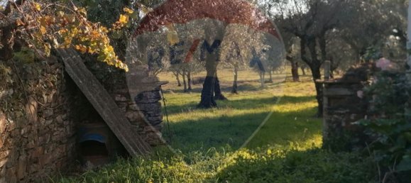 1 غرف نوم منزل في Portalegre, Portugal رقم 28303 7