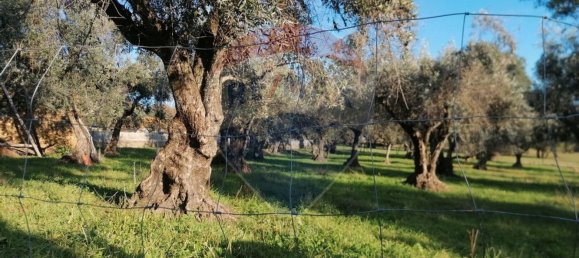 1 غرف نوم منزل في Portalegre, Portugal رقم 28303 5