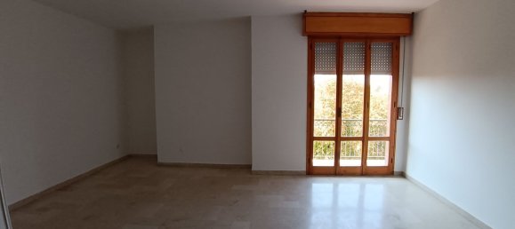 7 bedrooms Apartment in San Felice sul Panaro, Italy No. 347842 8
