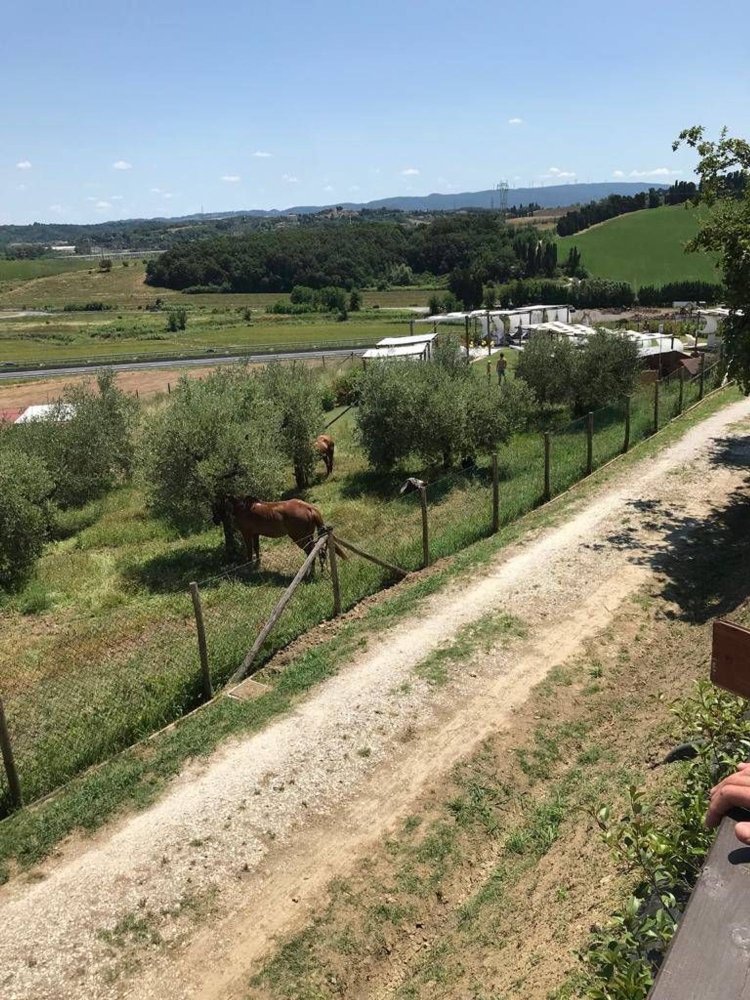 Terreno en Collesalvetti, Italy 10000 m² No. 207676