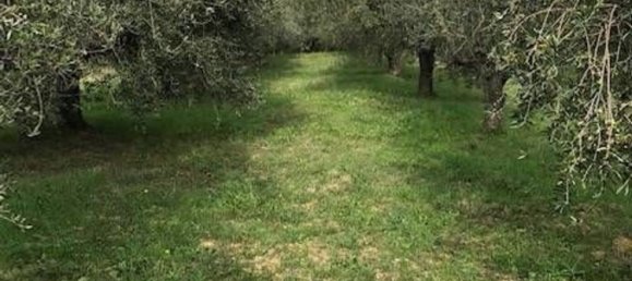 Terreno en Collesalvetti, Italy 10000 m² No. 207676 2